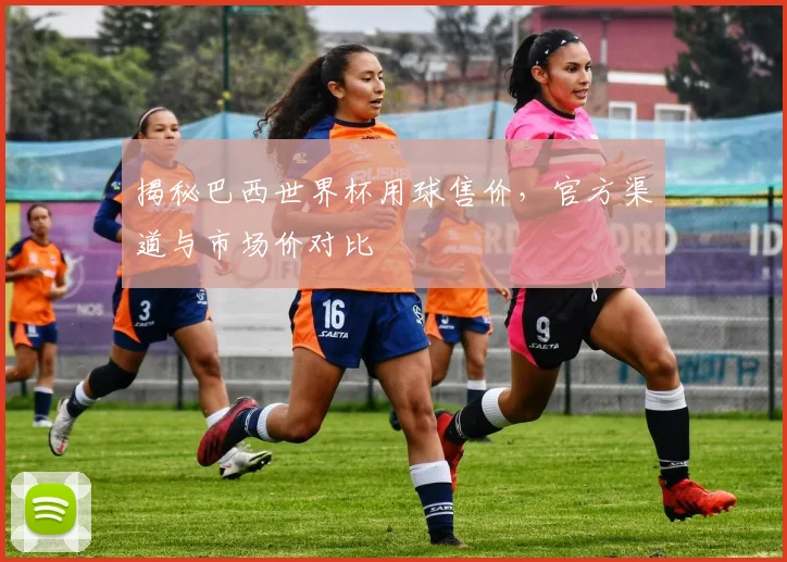 揭秘巴西世界杯用球售价,官方渠道与市场价对比