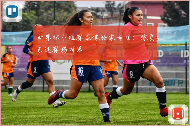世界杯小组赛录像独家专访：球员亲述赛场内幕