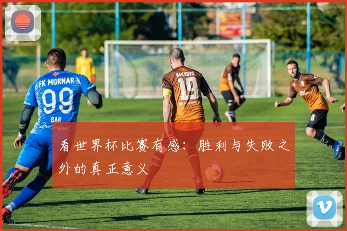 看世界杯比赛有感：胜利与失败之外的真正意义