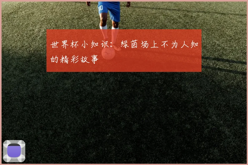 世界杯小知识：绿茵场上不为人知的精彩故事